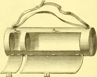 An illustration from Flore pittoresque de la France : anatomie, physiologie, classification, description des plantes indigènes et cultivées au point de vue de l'agriculture, de l'horticulture et de la sylviculture / publiée sous la direction de J. Rothschild. (1885)