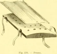 Picture 74 of 757 from Flore pittoresque de la France : anatomie, physiologie, classification, description des plantes indigènes et cultivées au point de vue de l'agriculture, de l'horticulture et de la sylviculture / publiée sous la direction de J. Rothschild. (1885), leaf 68
