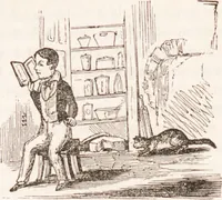 Picture 17 of 44 from Familiar lessons on physiology and phrenology : for children and youth in two volumes / by L.N. Fowler. (1860), leaf 165