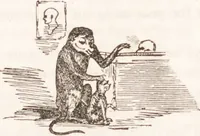Picture 30 of 44 from Familiar lessons on physiology and phrenology : for children and youth in two volumes / by L.N. Fowler. (1860), leaf 233
