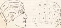 Picture 43 of 44 from Familiar lessons on physiology and phrenology : for children and youth in two volumes / by L.N. Fowler. (1860), leaf 296