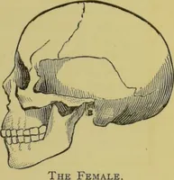 An illustration from The modern self-instructor in phrenology, physiology & physiognomy, or, The people's hand-book of human nature : containing a view of the moral and theological bearing of the science of phrenology / by Gustavus Cohen. (1889)