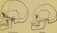 Picture 5 of 64 from The modern self-instructor in phrenology, physiology & physiognomy, or, The people's hand-book of human nature : containing a view of the moral and theological bearing of the science of phrenology / by Gustavus Cohen. (1889), leaf 35