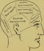 Picture 14 of 64 from The modern self-instructor in phrenology, physiology & physiognomy, or, The people's hand-book of human nature : containing a view of the moral and theological bearing of the science of phrenology / by Gustavus Cohen. (1889), leaf 67