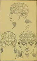 An illustration from The modern self-instructor in phrenology, physiology & physiognomy, or, The people's hand-book of human nature : containing a view of the moral and theological bearing of the science of phrenology / by Gustavus Cohen. (1889)