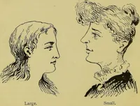 Picture 19 of 64 from The modern self-instructor in phrenology, physiology & physiognomy, or, The people's hand-book of human nature : containing a view of the moral and theological bearing of the science of phrenology / by Gustavus Cohen. (1889), leaf 82