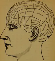 An illustration from Fowler's New illustrated self-instructor in phrenology and physiology : with over one hundred engravings, together with the chart and character of ... as marked by ... / by Lorenzo N. Fowler. (1891)