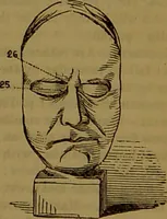 An illustration from Fowler's New illustrated self-instructor in phrenology and physiology : with over one hundred engravings, together with the chart and character of ... as marked by ... / by Lorenzo N. Fowler. (1891)