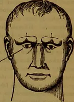 An illustration from Fowler's New illustrated self-instructor in phrenology and physiology : with over one hundred engravings, together with the chart and character of ... as marked by ... / by Lorenzo N. Fowler. (1891)