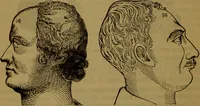An illustration from Fowler's New illustrated self-instructor in phrenology and physiology : with over one hundred engravings, together with the chart and character of ... as marked by ... / by Lorenzo N. Fowler. (1891)