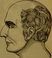 An illustration from Fowler's New illustrated self-instructor in phrenology and physiology : with over one hundred engravings, together with the chart and character of ... as marked by ... / by Lorenzo N. Fowler. (1891)