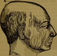 An illustration from Fowler's New illustrated self-instructor in phrenology and physiology : with over one hundred engravings, together with the chart and character of ... as marked by ... / by Lorenzo N. Fowler. (1891)