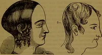 An illustration from Fowler's New illustrated self-instructor in phrenology and physiology : with over one hundred engravings, together with the chart and character of ... as marked by ... / by Lorenzo N. Fowler. (1891)