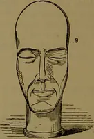 An illustration from Fowler's New illustrated self-instructor in phrenology and physiology : with over one hundred engravings, together with the chart and character of ... as marked by ... / by Lorenzo N. Fowler. (1893)