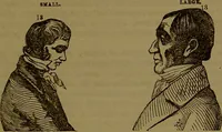 An illustration from Fowler's New illustrated self-instructor in phrenology and physiology : with over one hundred engravings, together with the chart and character of ... as marked by ... / by Lorenzo N. Fowler. (1893)