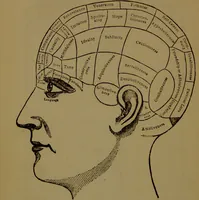An illustration from Fowler's New illustrated self-instructor in phrenology and physiology : with over one hundred engravings, together with the chart and character of ... as marked by ... / by Lorenzo N. Fowler. (1893)