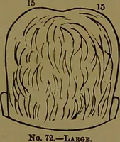 Picture 45 of 64 from Fowler's New illustrated self-instructor in phrenology and physiology : with over one hundred engravings, together with the chart and character of ... as marked by ... / by Lorenzo N. Fowler. (1893), leaf 125