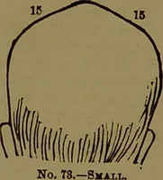 Picture 46 of 64 from Fowler's New illustrated self-instructor in phrenology and physiology : with over one hundred engravings, together with the chart and character of ... as marked by ... / by Lorenzo N. Fowler. (1893), leaf 125