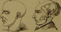 An illustration from Fowler's New illustrated self-instructor in phrenology and physiology : with over one hundred engravings, together with the chart and character of ... as marked by ... / by Lorenzo N. Fowler. (1893)