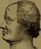 An illustration from Fowler's New illustrated self-instructor in phrenology and physiology : with over one hundred engravings, together with the chart and character of ... as marked by ... / by Lorenzo N. Fowler. (1893)