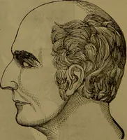 An illustration from Fowler's New illustrated self-instructor in phrenology and physiology : with over one hundred engravings, together with the chart and character of ... as marked by ... / by Lorenzo N. Fowler. (1893)