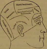 An illustration from Fowler's New illustrated self-instructor in phrenology and physiology : with over one hundred engravings, together with the chart and character of ... as marked by ... / by Lorenzo N. Fowler. (1893)