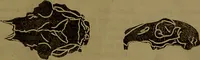 Picture 18 of 64 from Fowler's New illustrated self-instructor in phrenology and physiology : with over one hundred engravings, together with the chart and character of ... as marked by ... / by Lorenzo N. Fowler. (1893), leaf 71