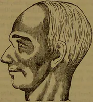 An illustration from Fowler's New illustrated self-instructor in phrenology and physiology : with over one hundred engravings, together with the chart and character of ... as marked by ... / by Lorenzo N. Fowler. (1893)