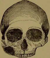 Picture 39 of 69 from Fowler's New illustrated self-instructor in phrenology and physiology : with over one hundred engravings, together with the chart and character of ... as marked by ... / by Lorenzo N. Fowler. (1895), leaf 108
