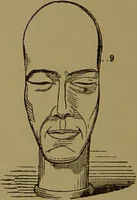 An illustration from Fowler's New illustrated self-instructor in phrenology and physiology : with over one hundred engravings, together with the chart and character of ... as marked by ... / by Lorenzo N. Fowler. (1895)