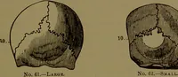 An illustration from Fowler's New illustrated self-instructor in phrenology and physiology : with over one hundred engravings, together with the chart and character of ... as marked by ... / by Lorenzo N. Fowler. (1895)