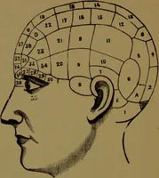 Picture 2 of 69 from Fowler's New illustrated self-instructor in phrenology and physiology : with over one hundred engravings, together with the chart and character of ... as marked by ... / by Lorenzo N. Fowler. (1895), leaf 12