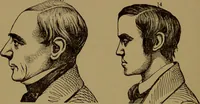 An illustration from Fowler's New illustrated self-instructor in phrenology and physiology : with over one hundred engravings, together with the chart and character of ... as marked by ... / by Lorenzo N. Fowler. (1895)