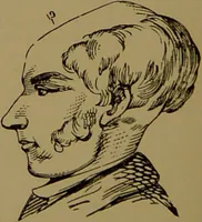 An illustration from Fowler's New illustrated self-instructor in phrenology and physiology : with over one hundred engravings, together with the chart and character of ... as marked by ... / by Lorenzo N. Fowler. (1895)