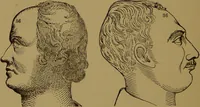 An illustration from Fowler's New illustrated self-instructor in phrenology and physiology : with over one hundred engravings, together with the chart and character of ... as marked by ... / by Lorenzo N. Fowler. (1895)