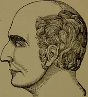 An illustration from Fowler's New illustrated self-instructor in phrenology and physiology : with over one hundred engravings, together with the chart and character of ... as marked by ... / by Lorenzo N. Fowler. (1895)