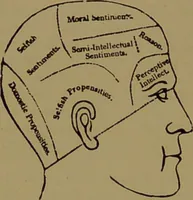 An illustration from Fowler's New illustrated self-instructor in phrenology and physiology : with over one hundred engravings, together with the chart and character of ... as marked by ... / by Lorenzo N. Fowler. (1895)