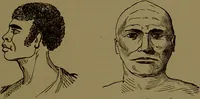 An illustration from Fowler's New illustrated self-instructor in phrenology and physiology : with over one hundred engravings, together with the chart and character of ... as marked by ... / by Lorenzo N. Fowler. (1895)