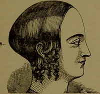 An illustration from Fowler's New illustrated self-instructor in phrenology and physiology : with over one hundred engravings, together with the chart and character of ... as marked by ... / by Lorenzo N. Fowler. (1895)