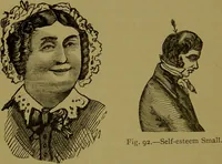 An illustration from A new illustrated hand-book of phrenology, physiology and physiognomy / by R.B.D. Wells. (1870)