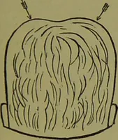 An illustration from A new illustrated hand-book of phrenology, physiology and physiognomy / by R.B.D. Wells. (1870)