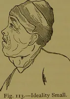 Picture 84 of 130 from A new illustrated hand-book of phrenology, physiology and physiognomy / by R.B.D. Wells. (1870), leaf 236