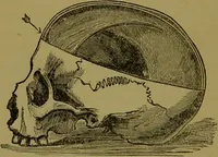 An illustration from A new illustrated hand-book of phrenology, physiology and physiognomy / by R.B.D. Wells. (1870)