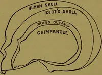 An illustration from A new illustrated hand-book of phrenology, physiology and physiognomy / by R.B.D. Wells. (1870)