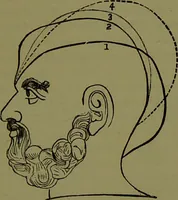 An illustration from A new illustrated hand-book of phrenology, physiology and physiognomy / by R.B.D. Wells. (1870)