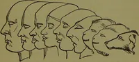 An illustration from A new illustrated hand-book of phrenology, physiology and physiognomy / by R.B.D. Wells. (1870)