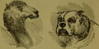 An illustration from A new illustrated hand-book of phrenology, physiology and physiognomy / by R.B.D. Wells. (1870)
