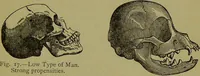 An illustration from A new illustrated hand-book of phrenology, physiology and physiognomy / by R.B.D. Wells. (1870)