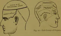 An illustration from A new illustrated hand-book of phrenology, physiology and physiognomy / by R.B.D. Wells. (1870)