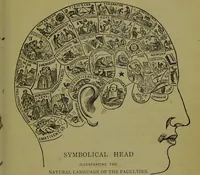 An illustration from A new illustrated hand-book of phrenology, physiology and physiognomy / by R.B.D. Wells. (1870)